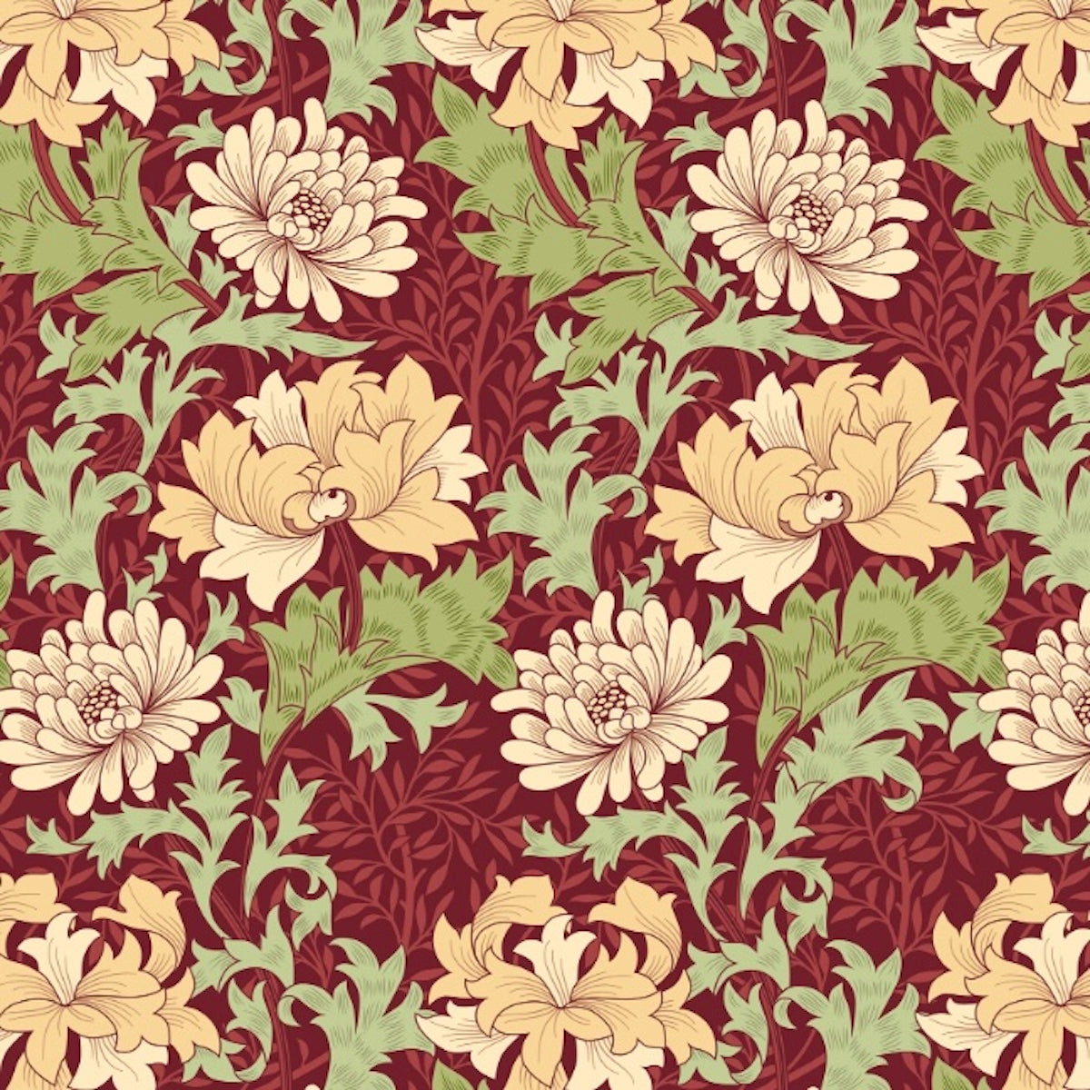 Chrysanthemum Wallpaper