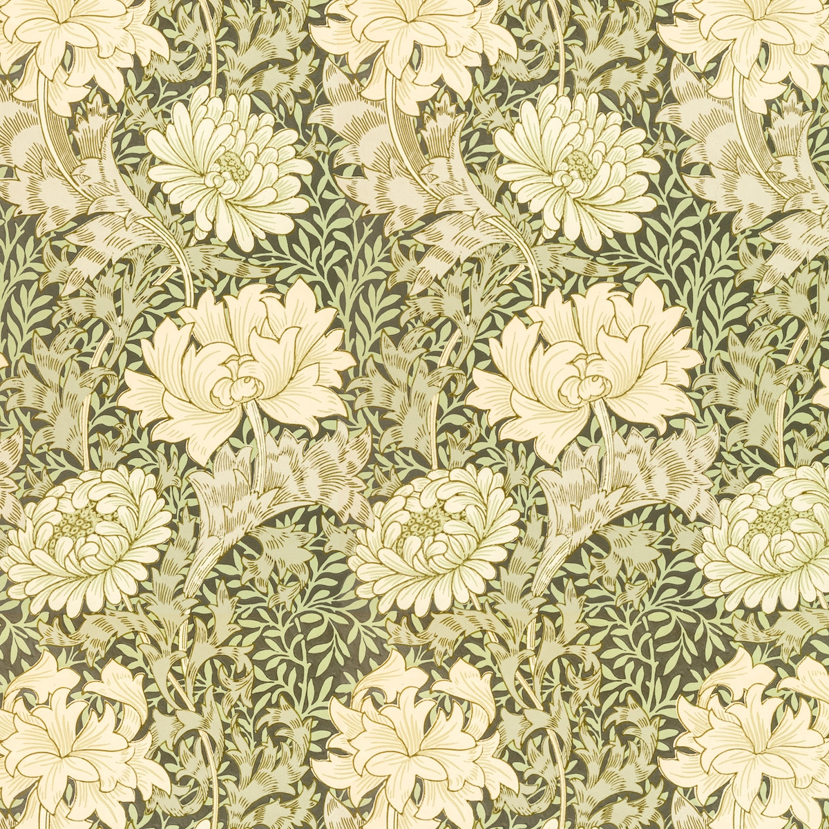 1066 - Chrysanthemum Wallpaper - Sage by Morris Collections