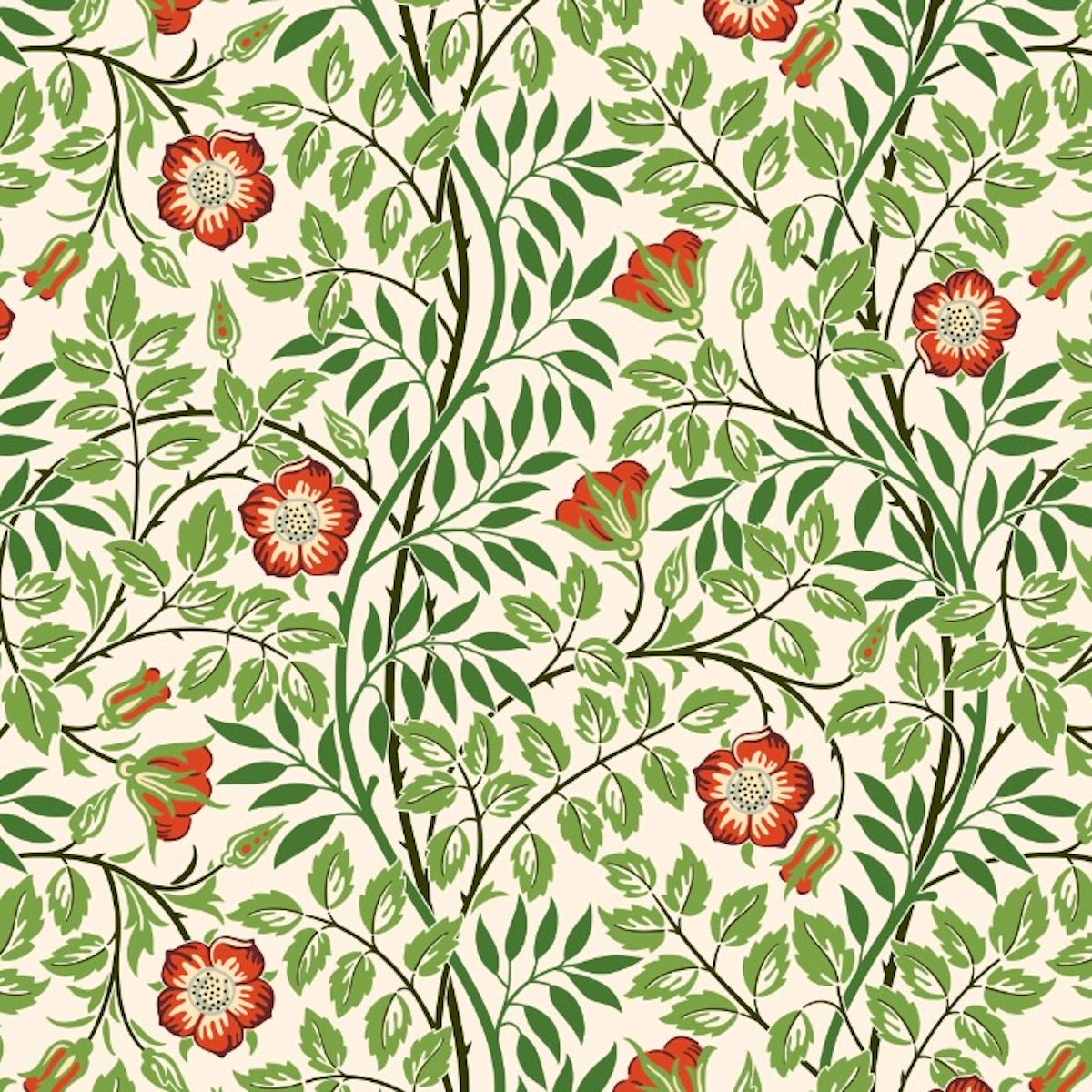 Rosehip Wallpaper