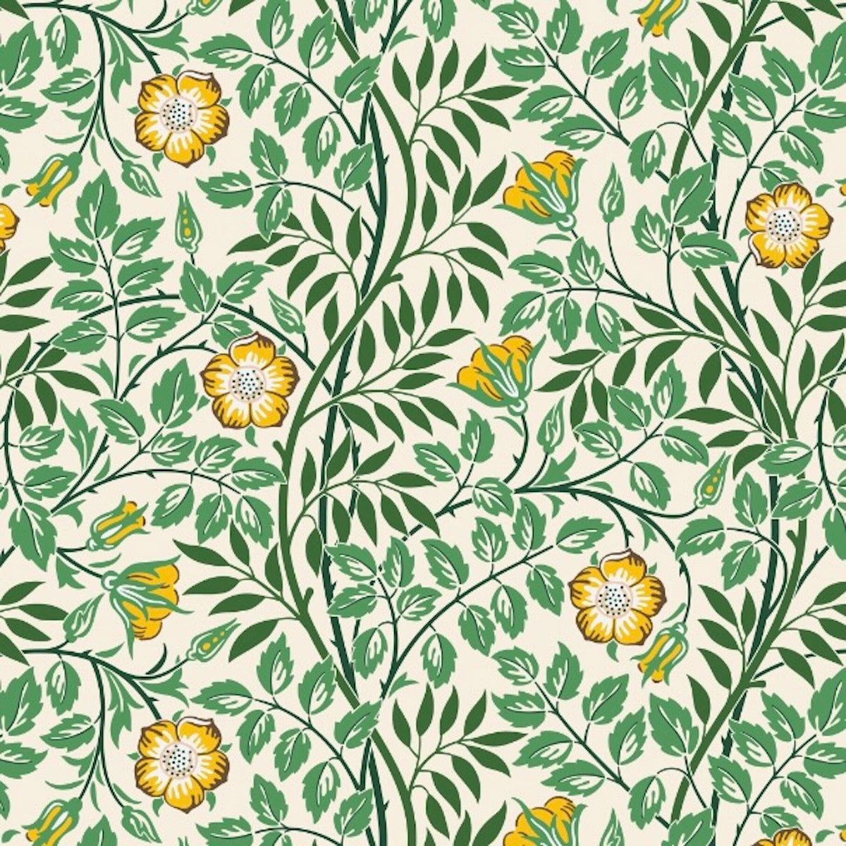 Rosehip Wallpaper