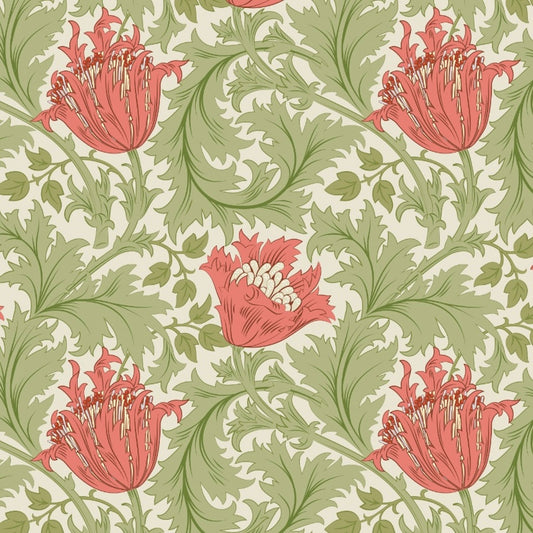 Anemone Wallpaper