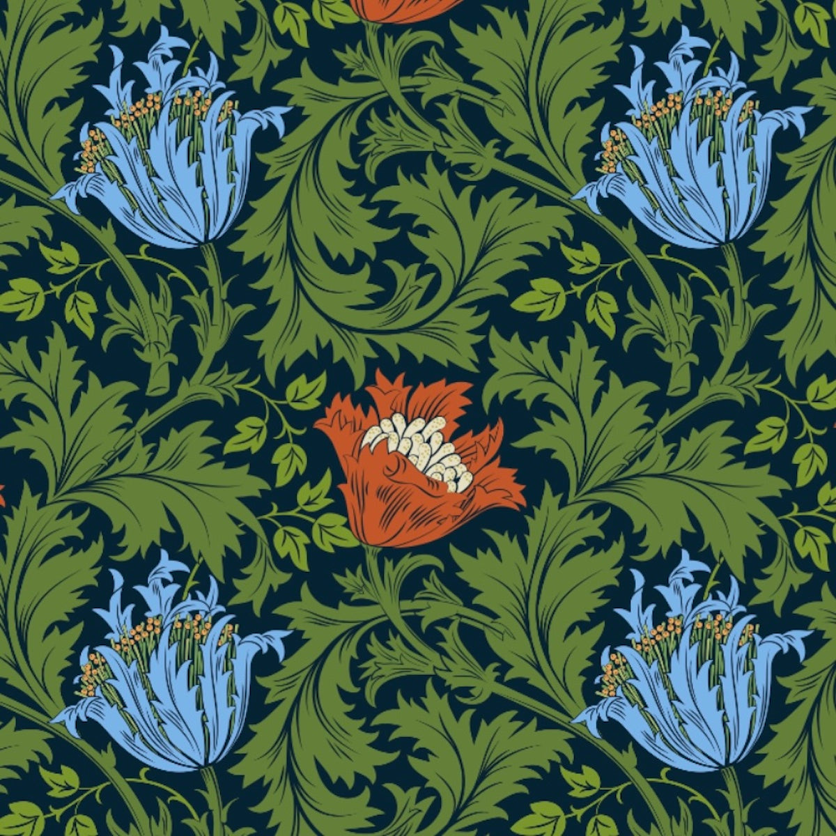 Anemone Wallpaper