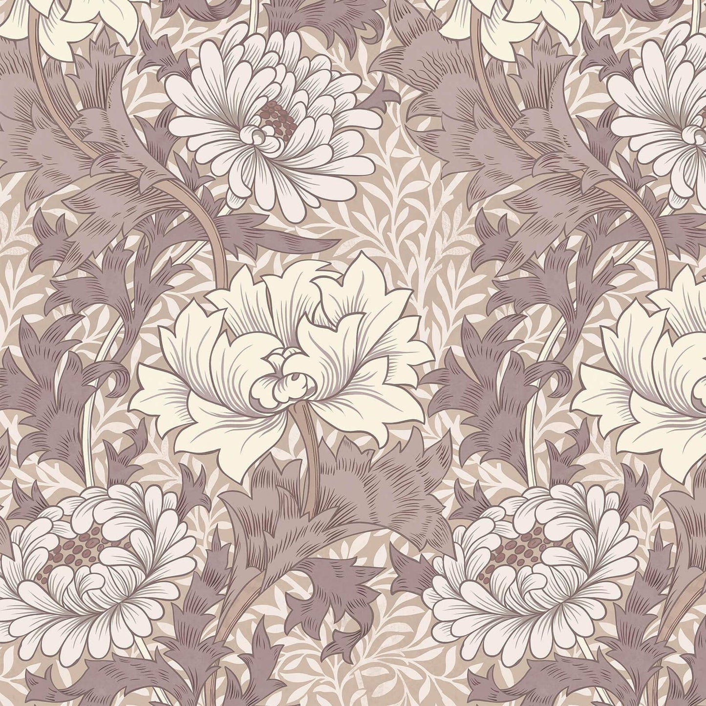 Chrysanthemum Magna Wallpaper - Astrantia - House of Hackney - 1 - WA - CHM - DI - ASA - XXX - Premier Wallcovering