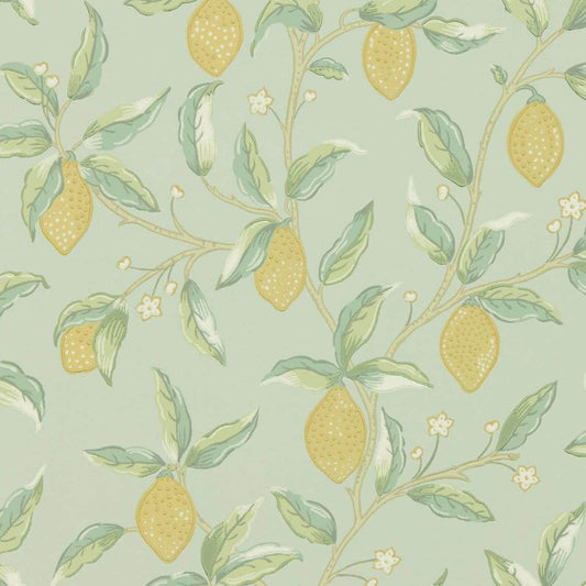 Lemon Tree Wallpaper - Sage - 216673 - Morris & Co - Premier Wallcovering